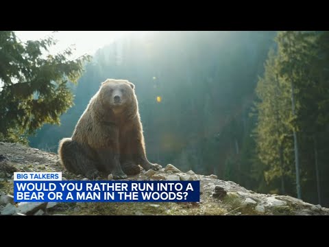 Bear vs man debate: Women respond after being asked which they would rather run into in the woods