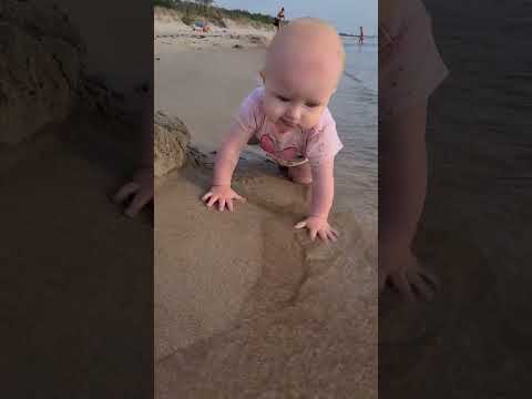 Baby explorying  the beach