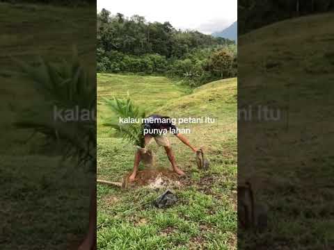 mudah mudahan aja benar ya,pupuk bisa langsung ke petani!!!!