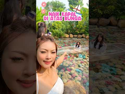 NAIK KAPAL DI CAFE BUNGA VIETNAM 😍💕🥳 #kapal #vietnam #cafeunik