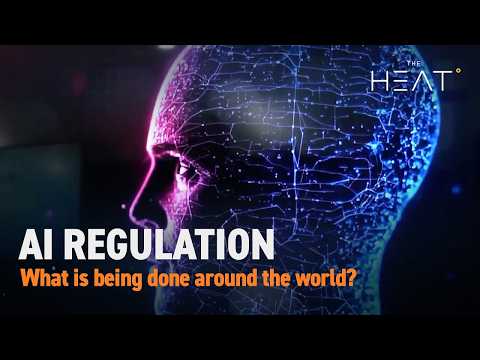The Heat: AI Regulation | What is being done?