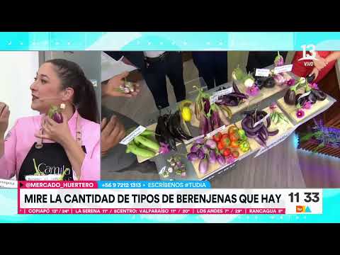 Lazaña de berenjena: Camila chef explica preparación culinaria | Tu Día | Canal 13