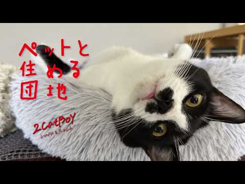 猫と住める団地ってどうなの?行ってわかった高齢期の厳しさ
