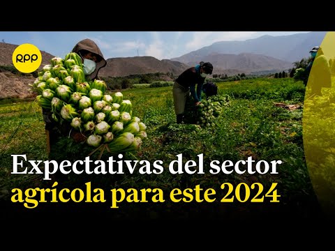Economía: ¿Qué le espera al sector agrícola este 2024?