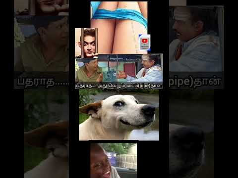 உருளை பாவங்கள் #shortsfeed #memes #subscribe #1million #trending #youtubeshorts #pipe #comedy #fun