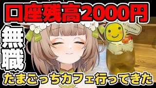【雑談】いよいよ自分がアホなんかじゃないかと思ってきた【花音めい】