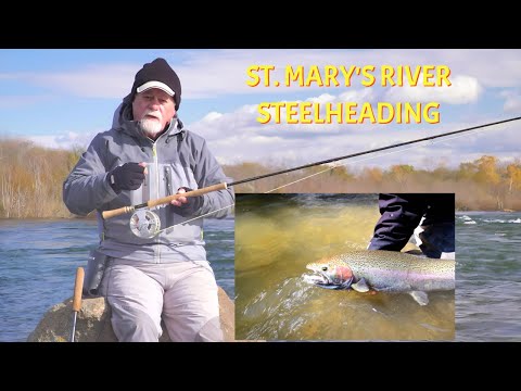 September Steelheading | St. Mary's River