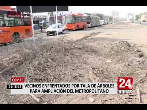 Comas: vecinos protestan porque quitaron 1.500 árboles para ampliación del Metropolitano