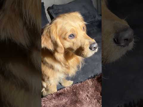 Bhoot bangla😰 #shorts | Anant Rastogi