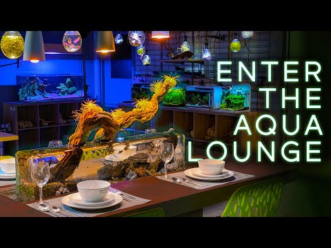 Touring THE AQUA LOUNGE — Epic Shop Tour Take a tour of the Incredible Aqua Lounge, homebase of SR Aquaristik!

Support me on Patreon_ https_