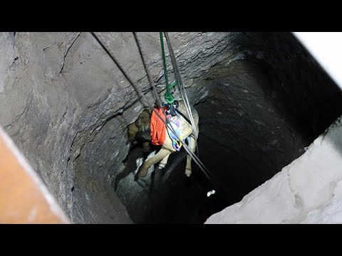Definecilerin kazdığı çukura düşen köpeği itfaiye kurtardı