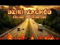 Polish Truck Driver - Dziki Zachd