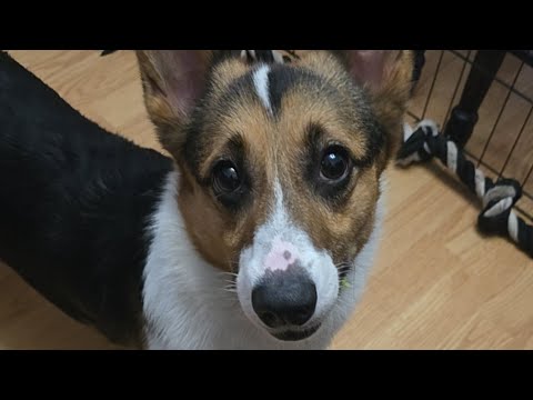 Nori gets to play (take 2) full hour session!