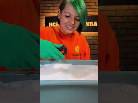 Лайфхак! Як насіння томатів засівати