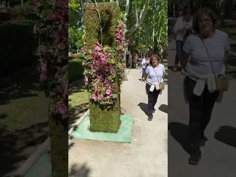 El paseo de la floralia desemboca en La Rosaleda tras un aromático y deslumbrante recorrido