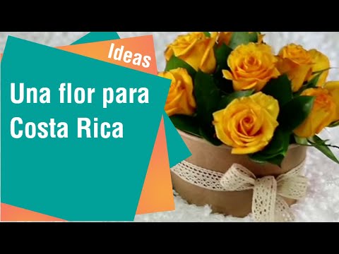 Campaña ''Una flor por Costa Rica''