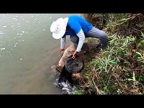 Vio Manchas en el Río, Lanzó la Cuchara y No Paró de Sacar Peces