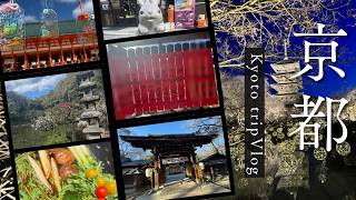 【京都Vlog】京都で観光＆グルメを満喫❤車折神社に行ってきました❤