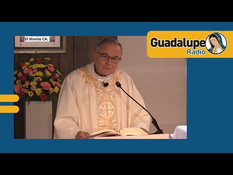 ¿Qué nos dice hoy la palabra de Dios?