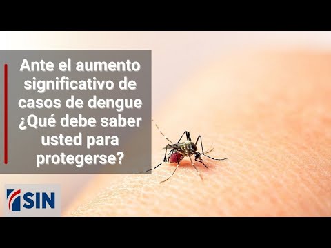 Ante el aumento significativo de casos de dengue ¿Qué debe saber usted para protegerse?