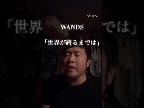 WANDS 「世界が終るまでは」