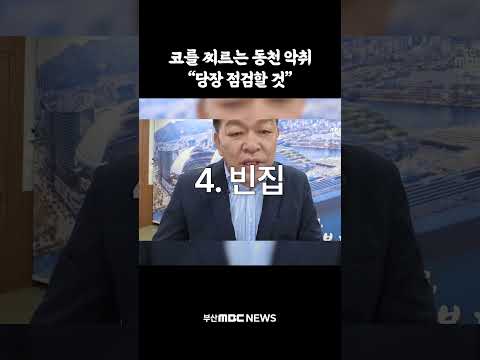 코를 찌르는 동천 <strong>악취</strong>..동구청장, "당장 점검할 것"