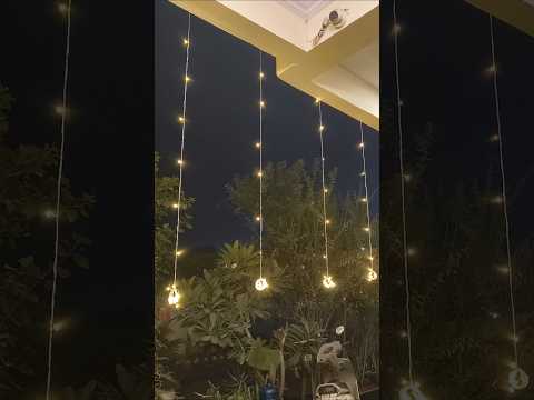 Diwali special Mini Vlog 🎆🪔 #houseplants #gardening #ytshorts #diwali #song