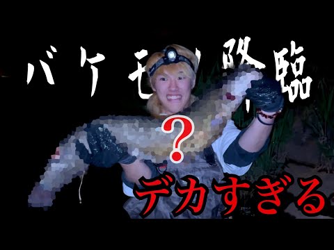 街中を流れるドブ川で