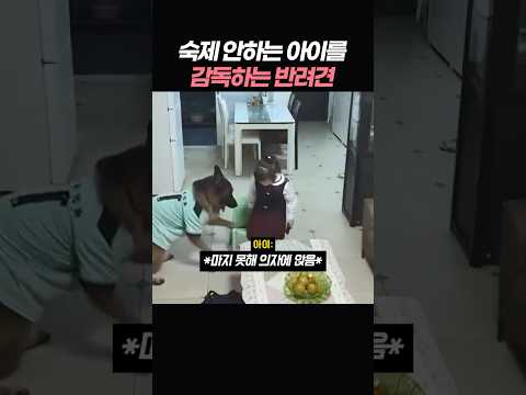 <strong>숙제</strong> 안하는 아이를 감독하는 반려견