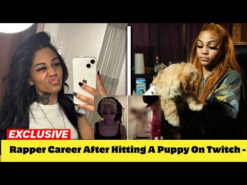 Chicago Rapper Ruins Career After Hitting A Puppy On Twitch   What Just Happened!