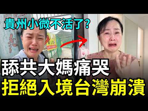 舉報成功！舔共大媽崩潰，永遠不能入境台灣，貴州小微覺醒，舉報北京中央？在中國快沒錢生活了，補助金全被貪走了