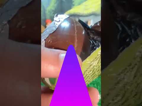 Surprise Eggs Opening Mix