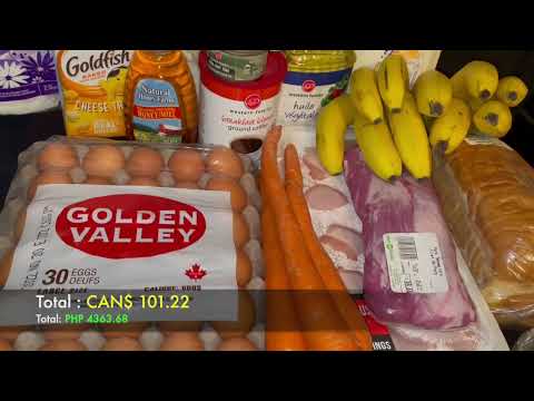 0 Worth of Groceries in Canada/ Inflation/ Budget