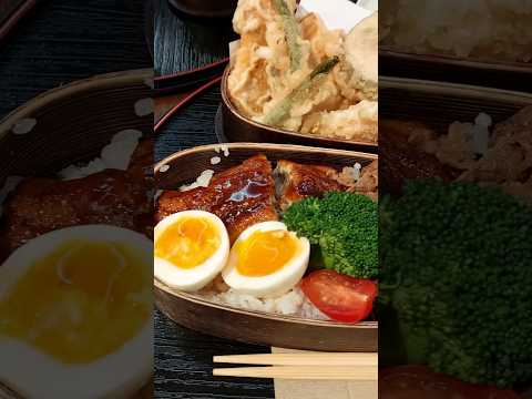 Auckland Eats: Delicious Dinner Out but Missing my Furry Friend