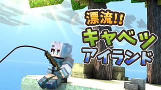 【Minecraft】雑談しながら新しいスキンみてをします！【ミーゼア/Vtuber】キャベツキングダム
