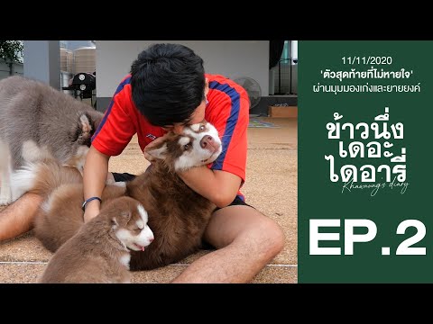 ตัวสุดท้ายที่ไม่หายใจ...ข้าวนึ ตัวสุดท้ายที่ไม่หายใจ...ข้าวนึ