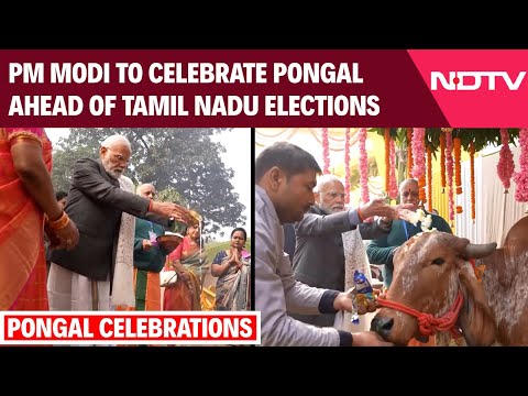 Pongal News | Harvest Festival, Poll Pitch: PM To Celebrate Pongal Ahead of Tamil Nadu Elections