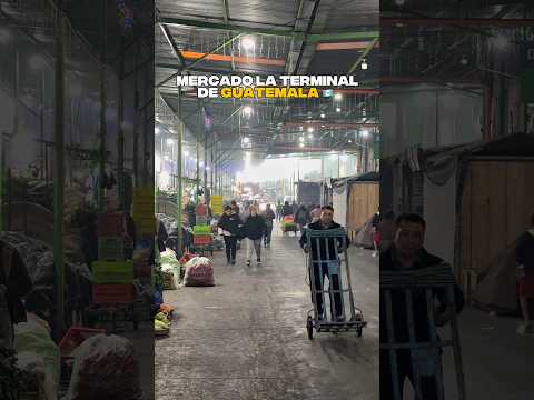 Así es uno de los mercados más grandes de Guatemala 🇬🇹 La Terminal #guatemala #ciudaddeguatemala