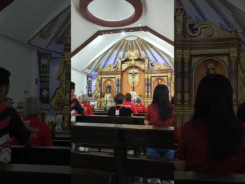 PHILIPPINE CHURCH part 9 | SAN ANDRES APOSTOL PARISH - GEV - CAINTA RIZAL | DIOCESE OF ANTIPOLO #fyp