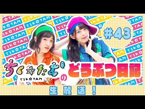 「ちく☆たむのどうぶつ日記 生配信！！」＃43