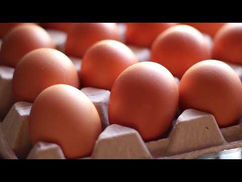 The Biggest Egg Recalls In US History