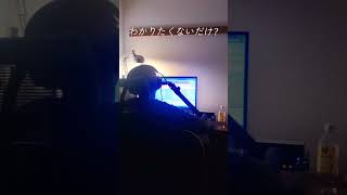 「Hz」跳亜