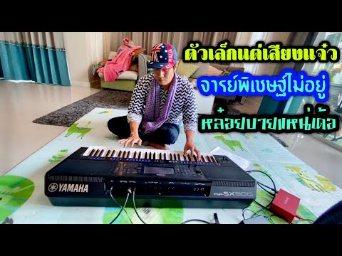 ตัวเล็กแต่เสียงแจ๋ว ตัวเล็กแต่เสียงแจ๋ว