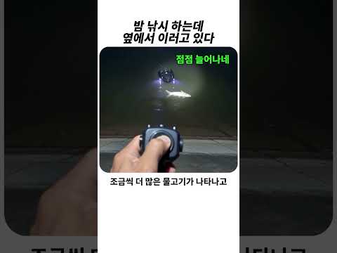 <strong>낚시</strong> 하는데 옆에서 이러고 있다면 #<strong>낚시</strong>