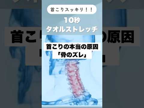 首こりは「骨」から整える！理学療法士が教える頚椎リセットセルフケア