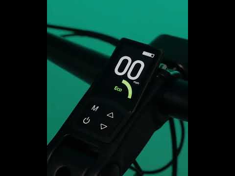 🚴 Fiido Nomads Is Coming — Built-In Turn Signals! 🔦