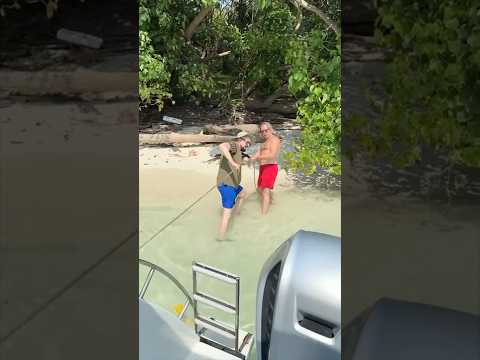 День рождения