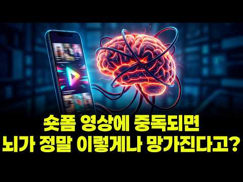 숏폼 영상에 중독되면... 뇌가 정말 이렇게나 망가진다고?
