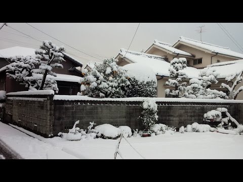 Las calles de Nagoya después de la gran nevada | Streets of Nagoya after heavy snowfall (25cm ?)