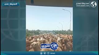 فك حلاله وسط الشارع